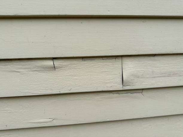 Best Residential Vinyl Siding Installation  in Pomeroy, OH